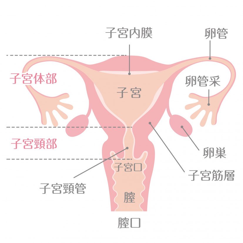 ダウンロード (4)