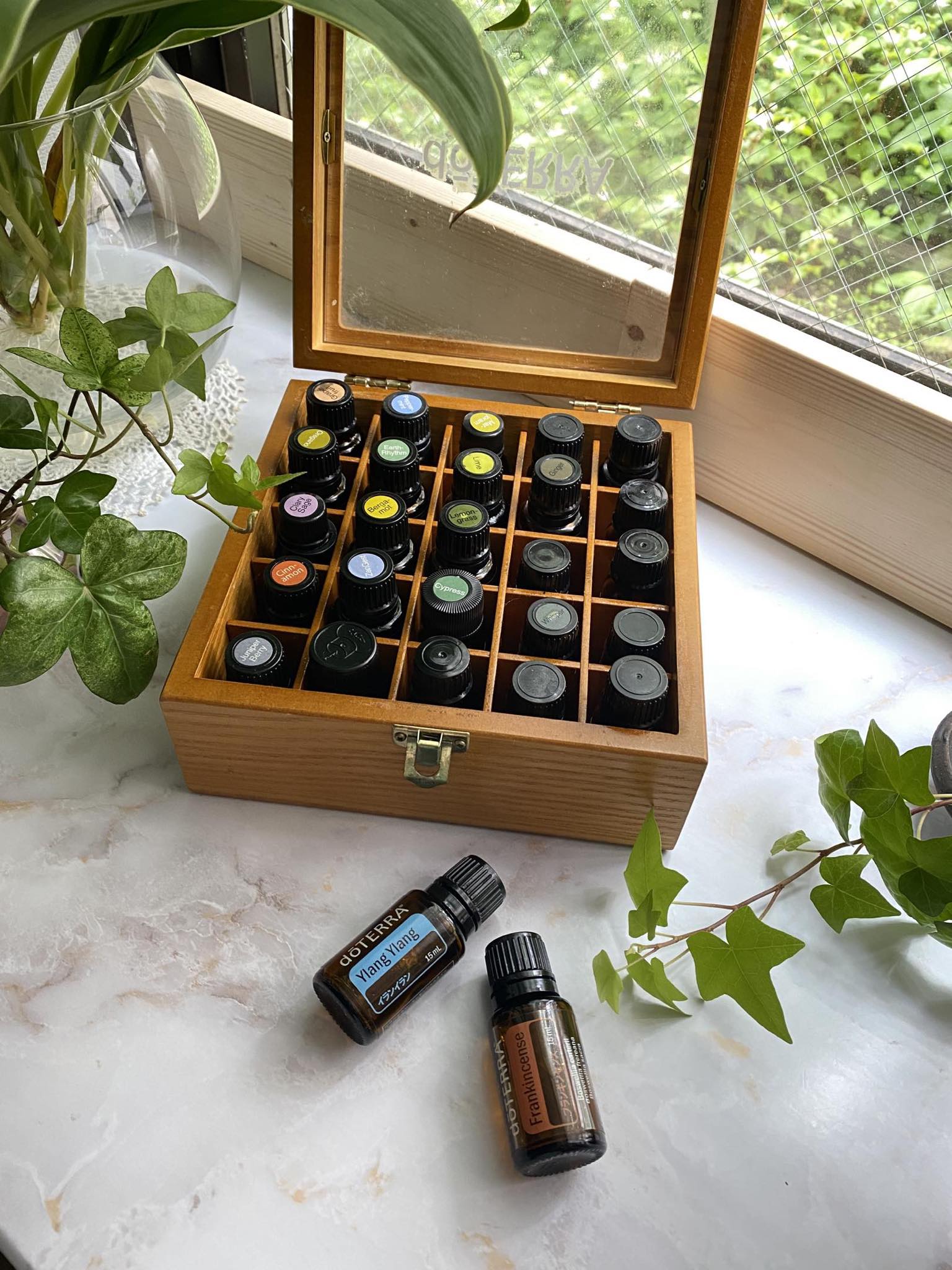 348358397_767601165152304_7823143285536015159_n